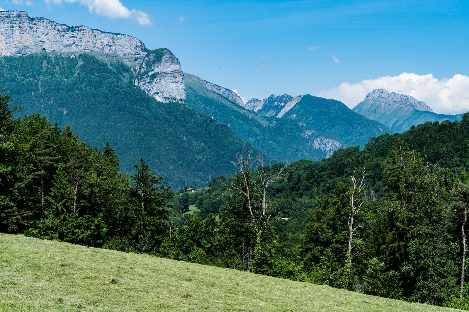 Location gîte Menthon-Saint-Bernard